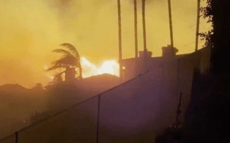 My First Person Experience Watching My Home Burn Down in the Palisades Fires